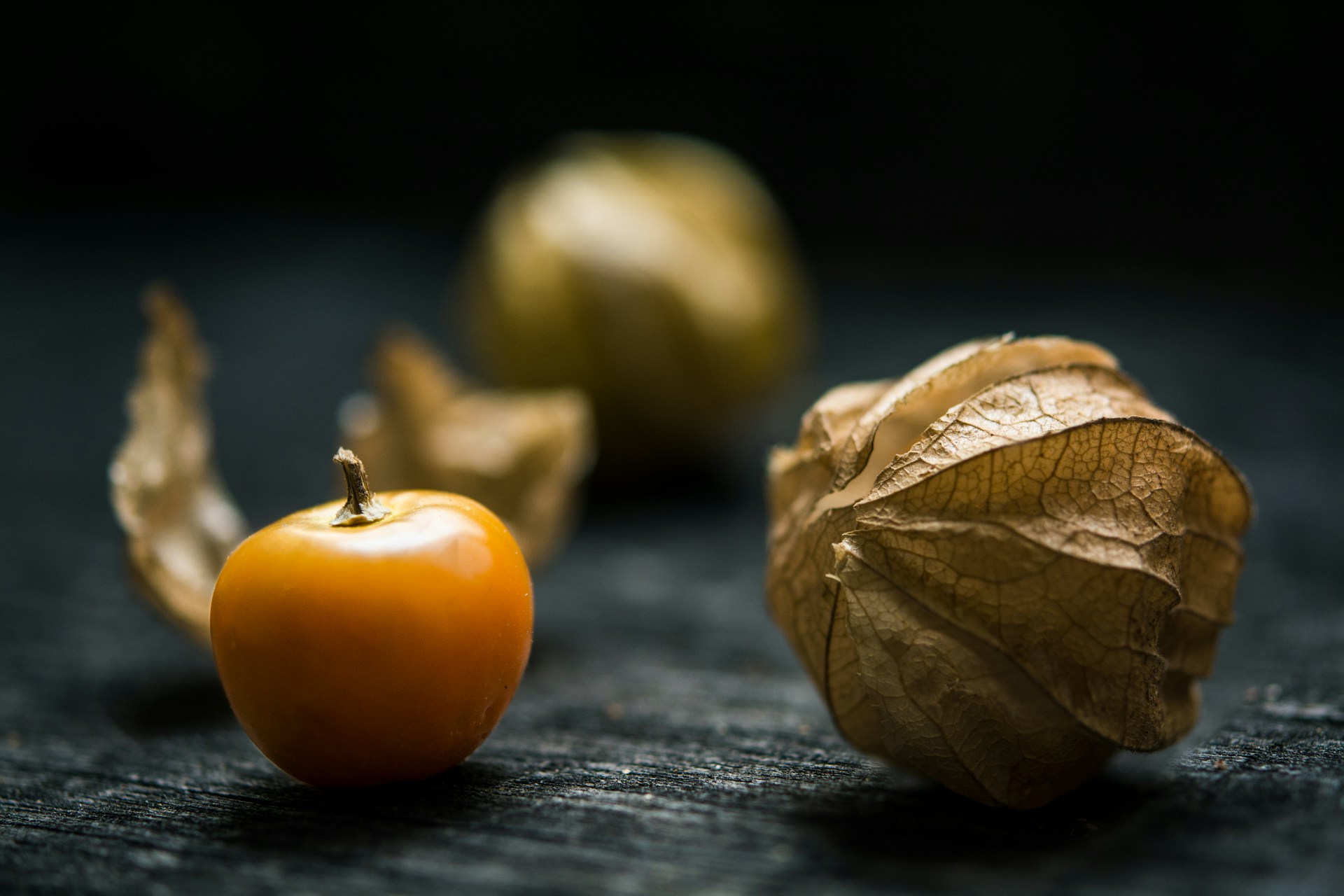 physalis-anbauen